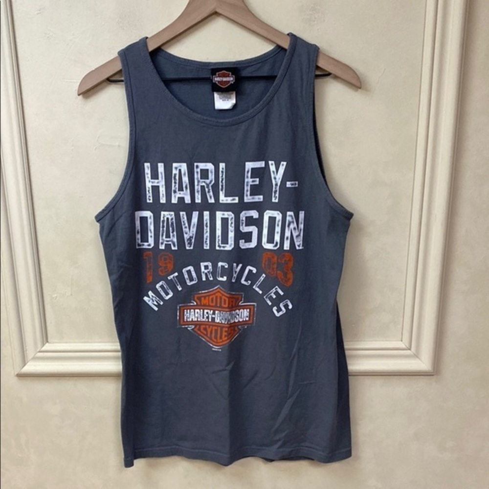 Harley-Davidson Route 66 Ozark Lebanon MO tank Medium